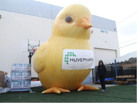 2023 New Giant Inflatable Baby Chicken Huvepharma for Sale