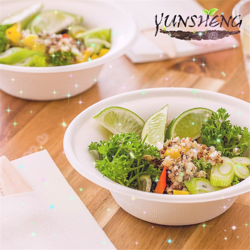 Bagasse Sugarcane Bamboo Pulp Fiber Bowls Manufacturer