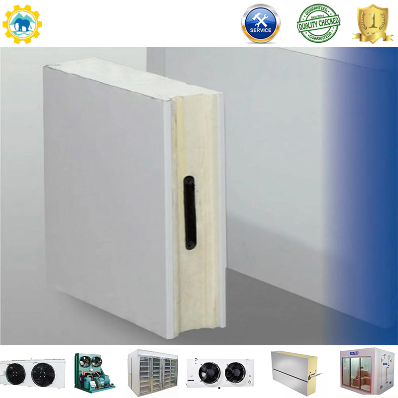 High-Quality PU and PIR Panels for Walk-in Cold Storage