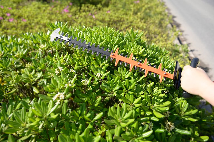 Аккумуляторный кусторез TM-HT601Li 21V