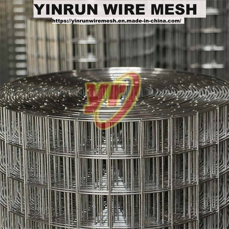 Anti-Rust Galvanized Welded Wire Mesh for Long Lifespan, Advanced Technology, Reliable Quality