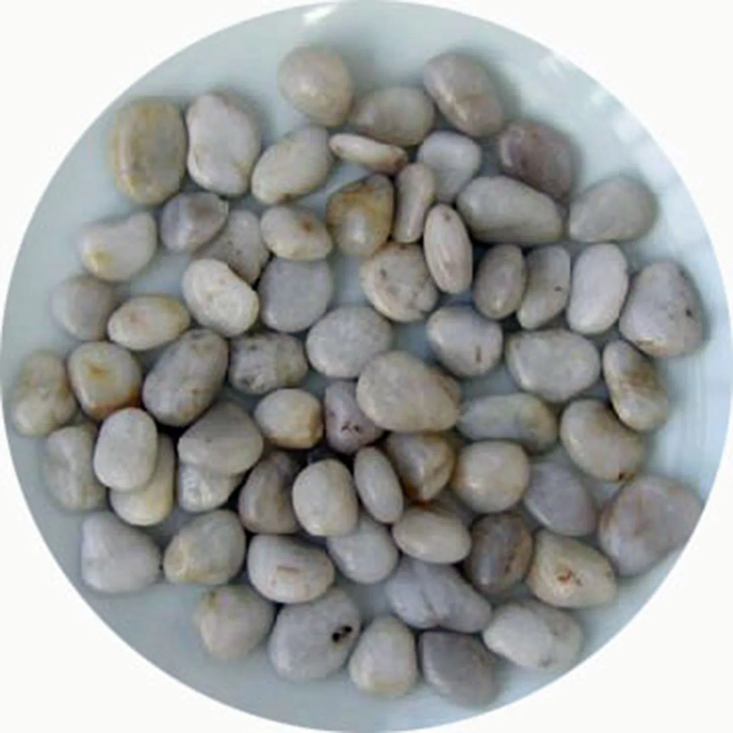 American Villa Garden Paving Nature Stone River Pebble Tile White