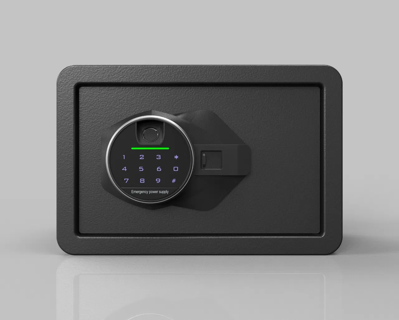 Alarm Function Biometric Fingerprint Safe Electronic Lock Password Lock Hardware