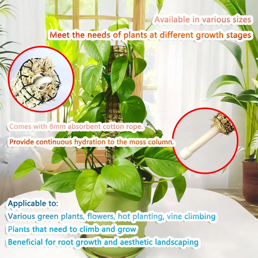 Stackable Green Sphagnum Moss Support Pole for Alocasia Tropical Climbing Plants