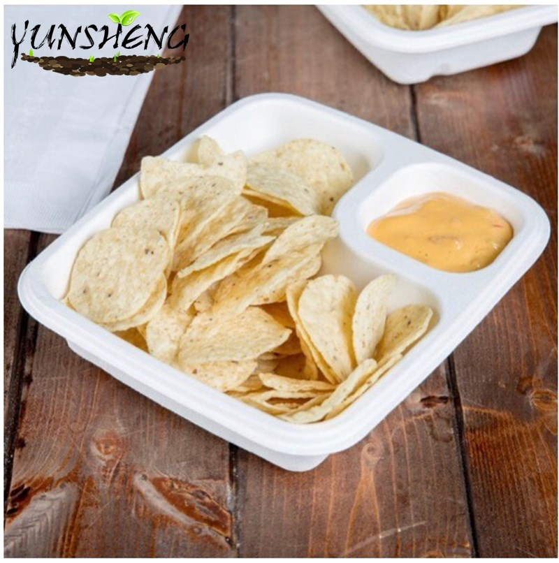 Disposable Biodegradable Food Paper Trays, Five Compartments
