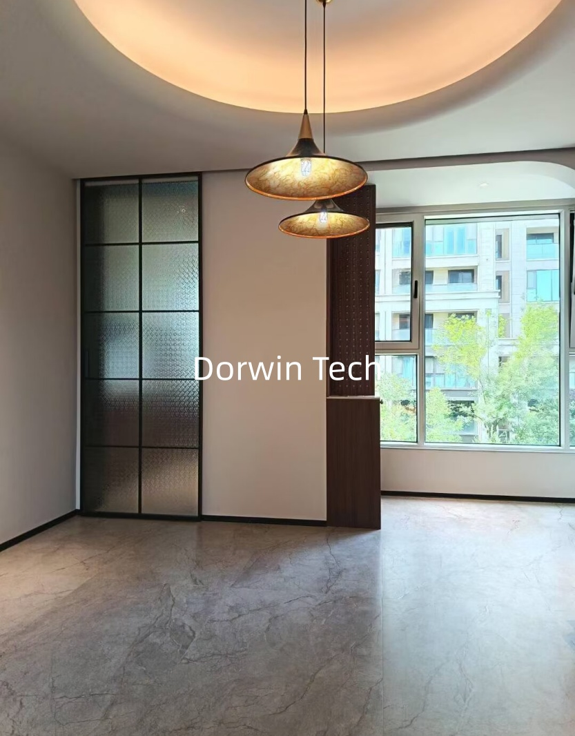 Slim Aluminum Frame Mirror Glass Ghost Sliding Barn Door