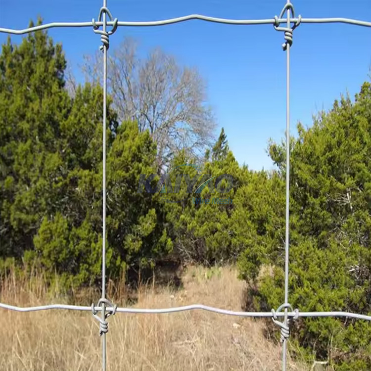 Hot-Selling Durable Ranch Fence Hot Dipped Galvanized Cattle Fence Net
