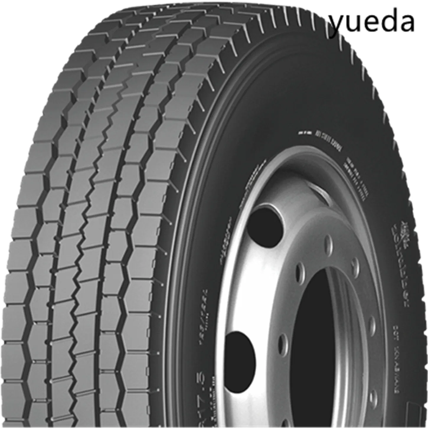 20 Inch All Steel Radial Truck Bus Tire (TBR)