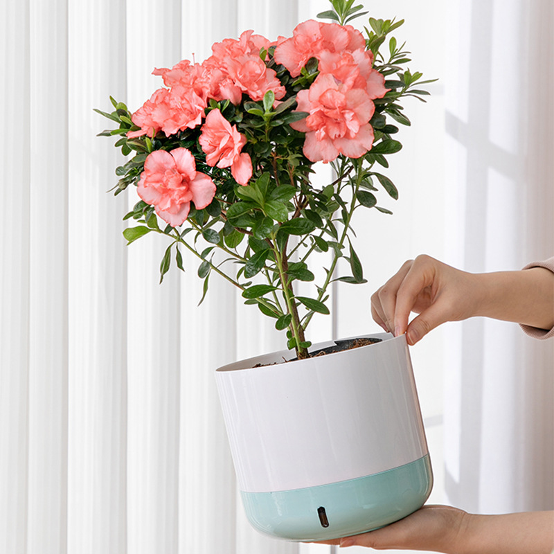 Горшок гидропонный автоматический для растений