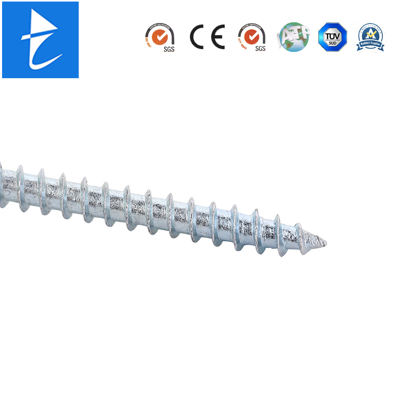 Custom Metal Galvanized Fasteners Countersunk Head Self Tapping Phillips Driver Screw for Wood