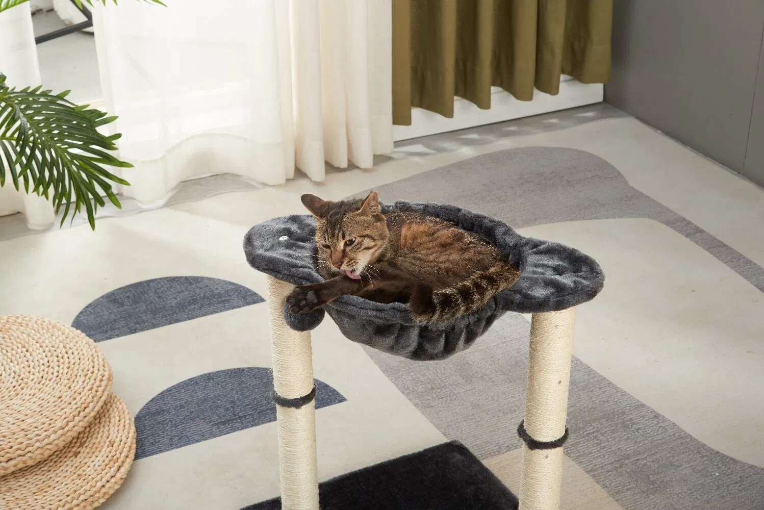 Multi-Functional Solid Wood Cat House for Play and Rest