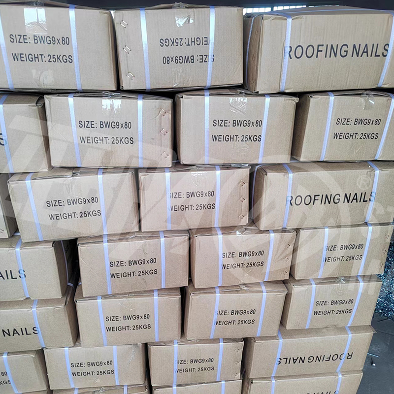 Ring Shank Nails Galvanized Roofing Nail Construction Building Quick Quotation