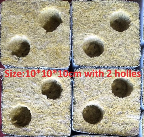 2025 New Seeds Growing Hydroponic Rock Wool Plant Cubes with 2 Holes