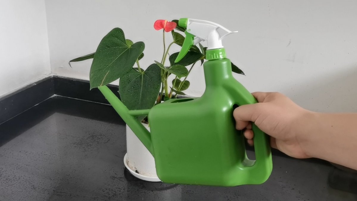 1.5L Dual Purpose Trigger Sprayer Bottle Bonsai Indoor Plastic Small Watering Can