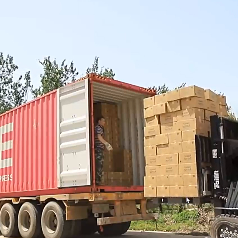 OEM/ODM Factory Eco-Friendly Customizable 2ply/3ply Hot Selling Premium Quality Individual Wrapped 100% Bamboo Bathroom Toilet Tissue Paper