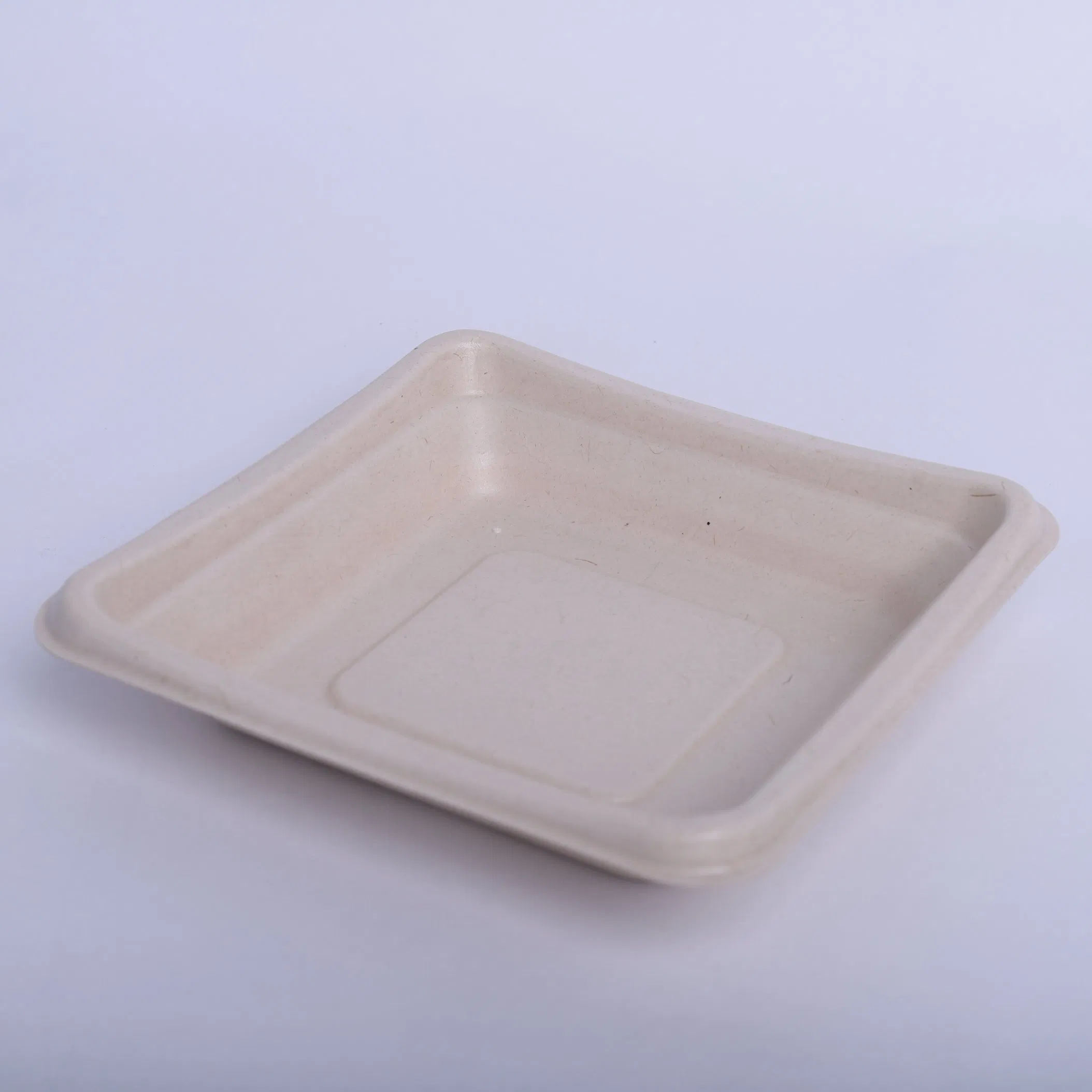 Biodegradable Tableware Sugar Cane Sugarcane Pulp Bagasse Food Container Salad Box