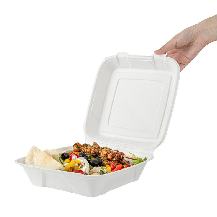 9" Compostable Bagasse Lunch Box Sugarcane Food Container