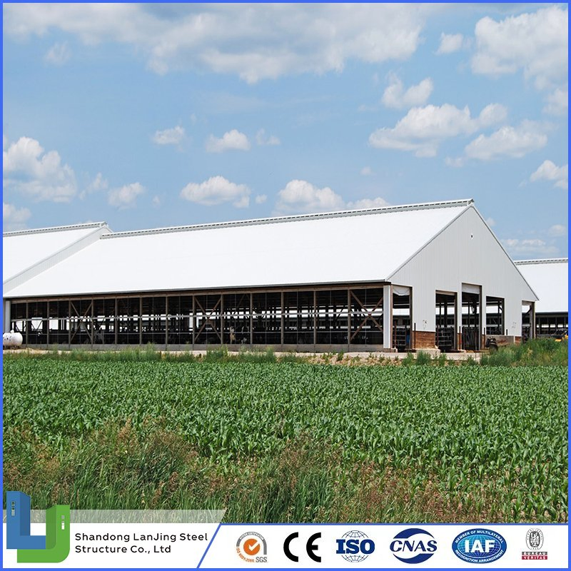 Industrial Stable Wholesale Modern Prefab Sandwich Panel Heavy Steel Structure for Frame Storage Steel Structure Building Construction