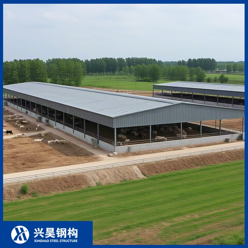 High-Strength Structural Steel Skeleton Prefab/Prefabricated Steel Structure Breeder/Layer/Broiler/Chicken/Cow/Sheep Shed/House