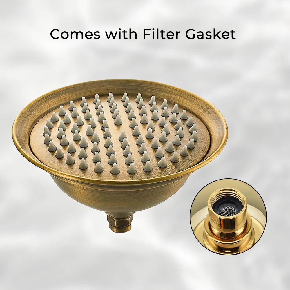 Classic Antique 8" Top Shower Stainless Steel Bathroom Rain Shower Head with Filter