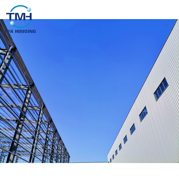 Indoor Self-Storage Space CAD Drawing Design Workshop Steel Structure Warehouse Poultry Farm Building for Sale