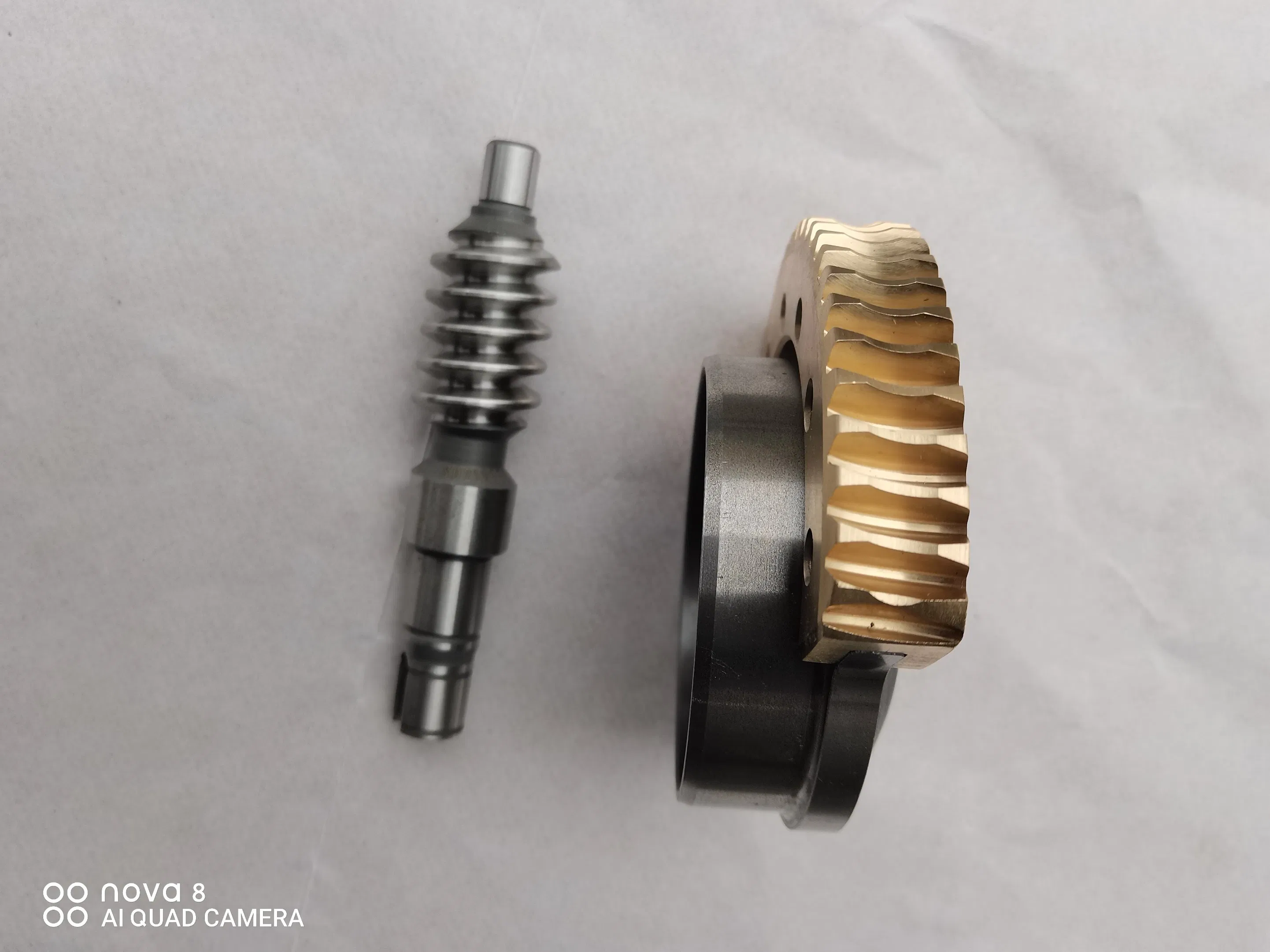 OEM Casting CNC Machining Worm Shaft Wheel