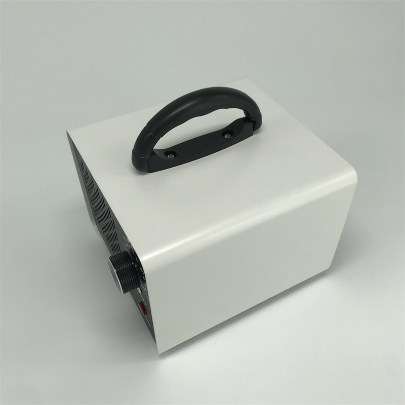 Water Purifier AC220V 5g/H 30g/H Portable Ozone Generator