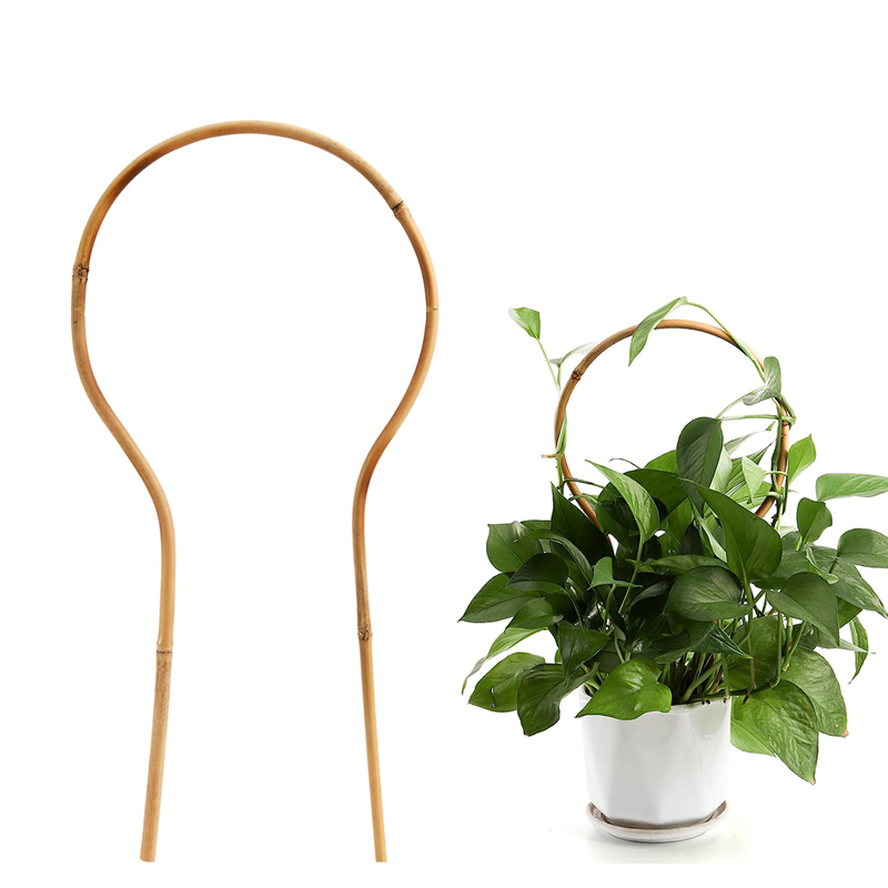 Bamboo Cane Plant Pot Trellis Fan Garden Flower Support Frame Stake Stick Pole