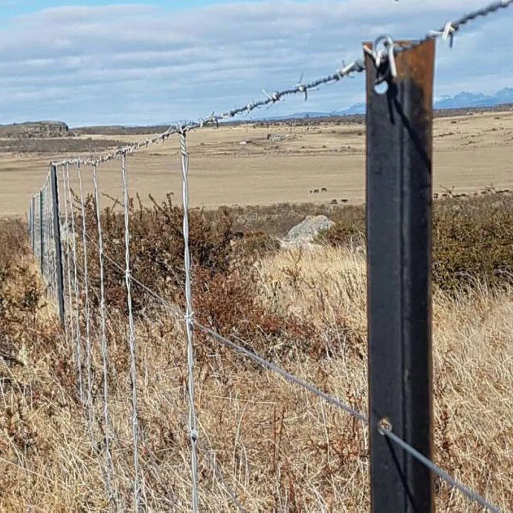 3.5kg/M 2100mm Height Heavy Duty Australia Y Star Post