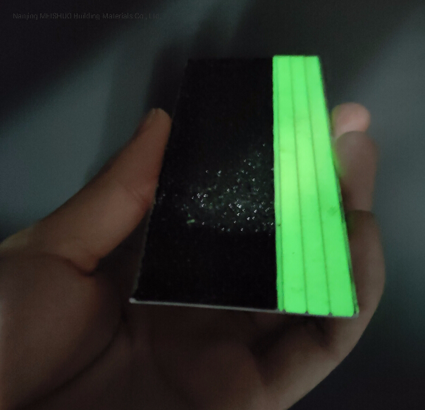 Luminous Lighted Glow in The Dark Stair Tread Step Nosing