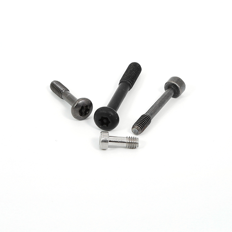 China Manufacturer Custom Pan Flat Head Screw Slotted Captive Countersunk Hex Socket Torx Screw