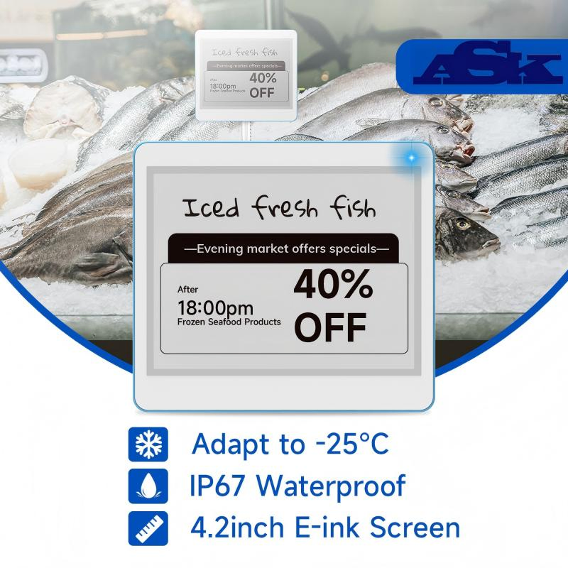 4.2-Inch Low Temperature ESL Tag - BLE & NFC, ABS Plastic, CE Certified for Supermarkets & Retail