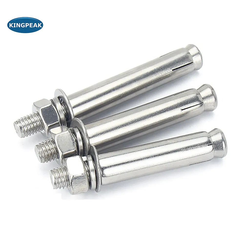 Premium Stainless Steel 304 Heavy Duty Concrete Anchor Bolt