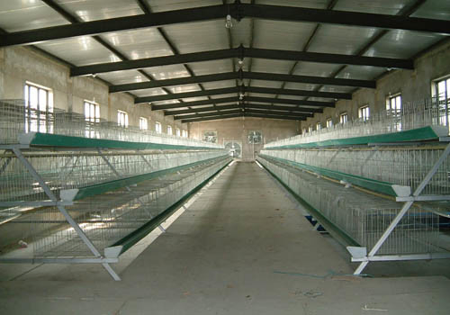 Hot DIP Galvanized Steel Structure Frame Cow Cattle Sheep Warehouse Farm Shed