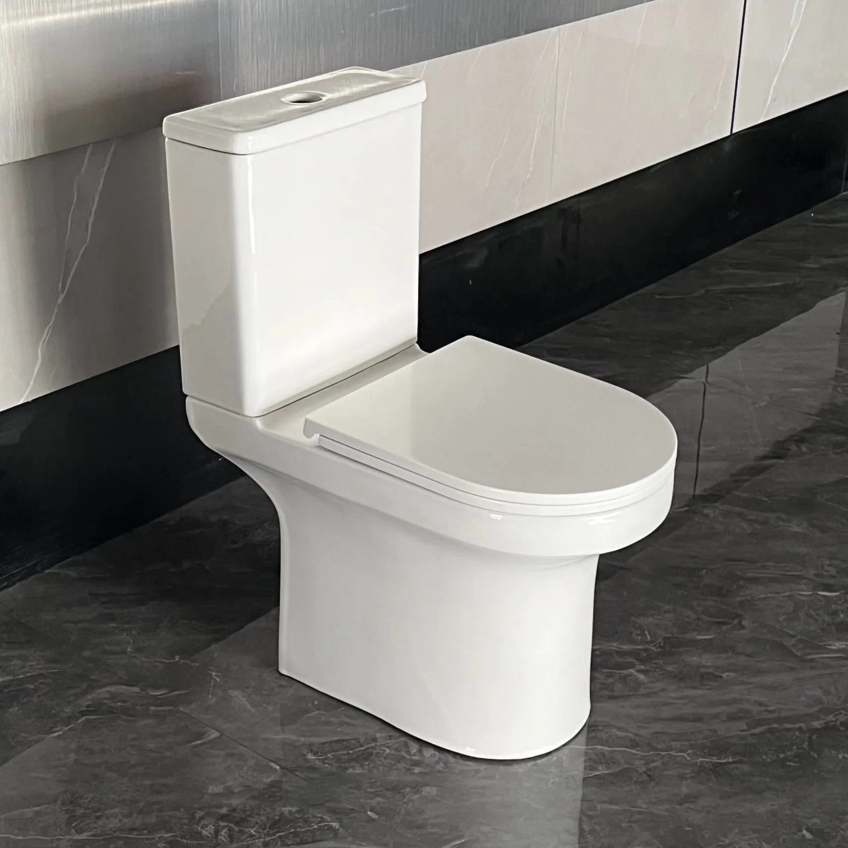 New Arrival Ceramic Two Piece Couple Washdown Toilet for European Market