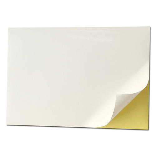 Cast Coated Sticker Paper with Gsf Brand or OEM