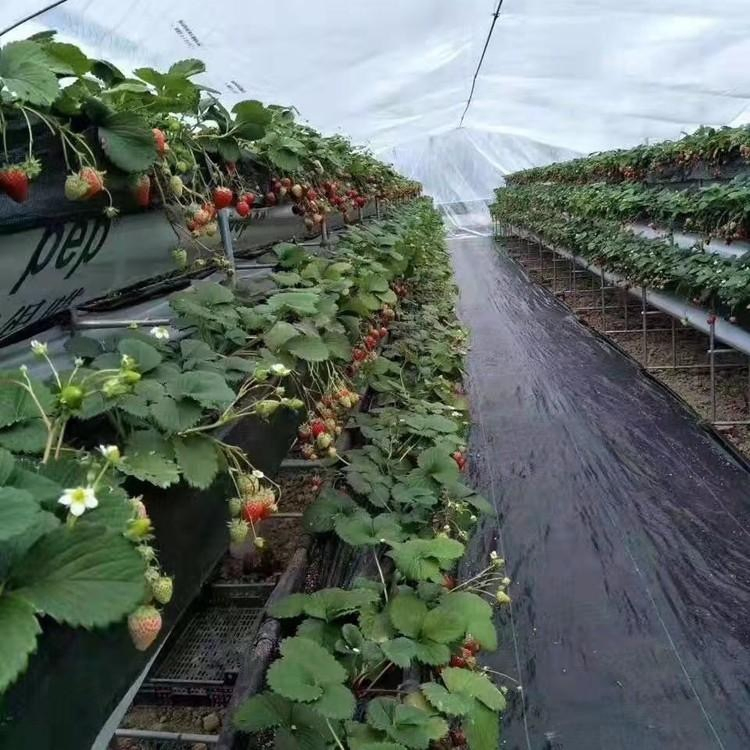 High Tensile Strength PP/PE Woven Geotextile for Soil Foundation Improvement