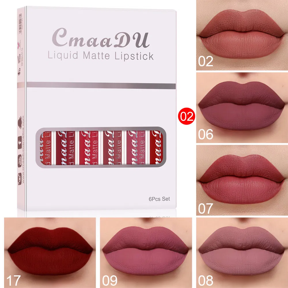 6PCS/Set Matte Velvet Non-Stick Cup Waterproof Not Easy to Swap Makeup Private Label Lipstick Long Lasting Lip Gloss Set