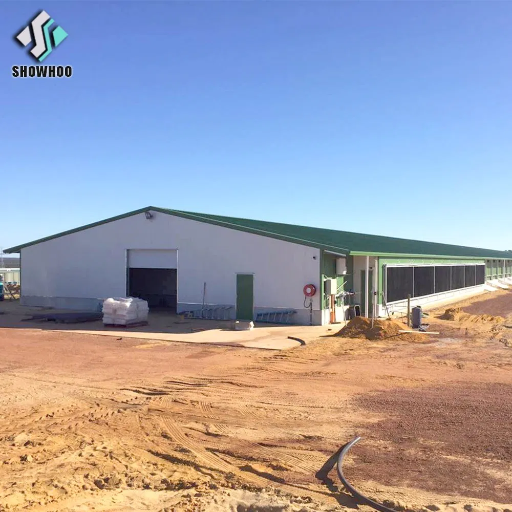 Architectural Design Poultry Farm Chicken Coop Shed for Chicken House