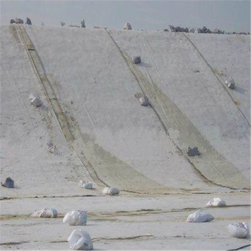 Polyester Continuous Filament Thermally Bonded Nonwoven Geotextile Price