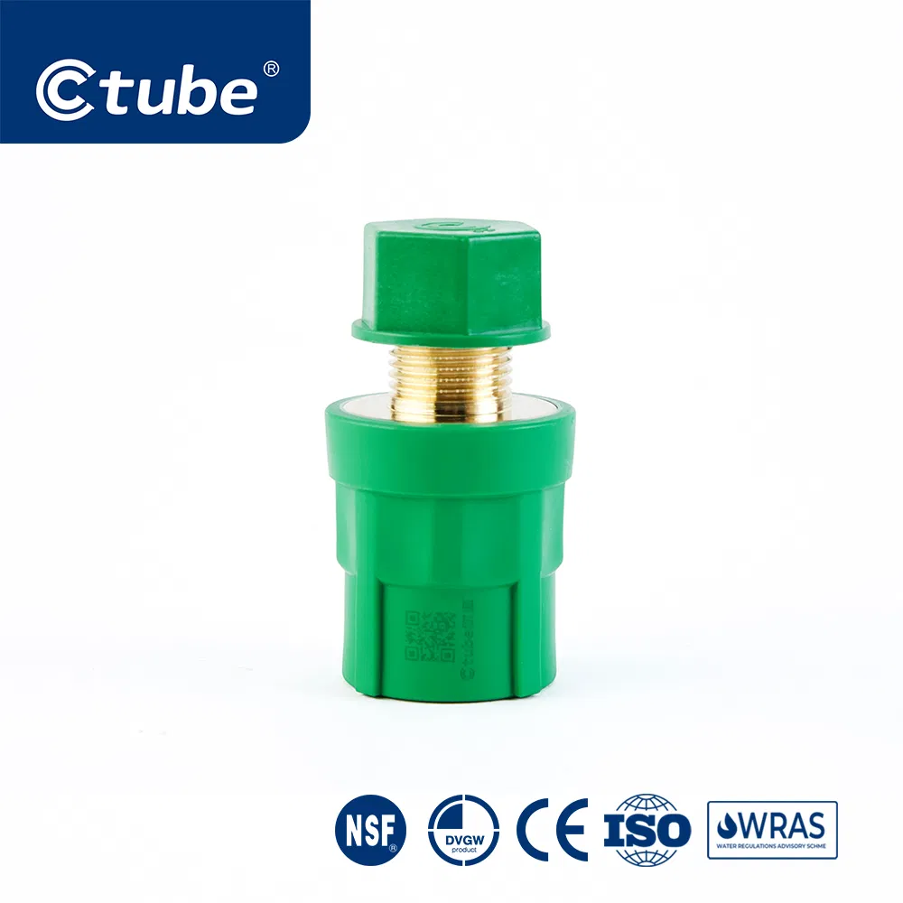 Ctube PPR Female Threaded Cap Chemical Resistant Pipe Fitting Solution