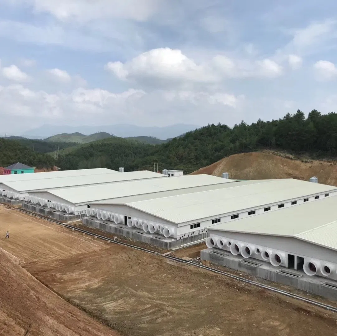 Prefabricated Steel Structure Poultry Farm Livestock Chicken House Coop Shed