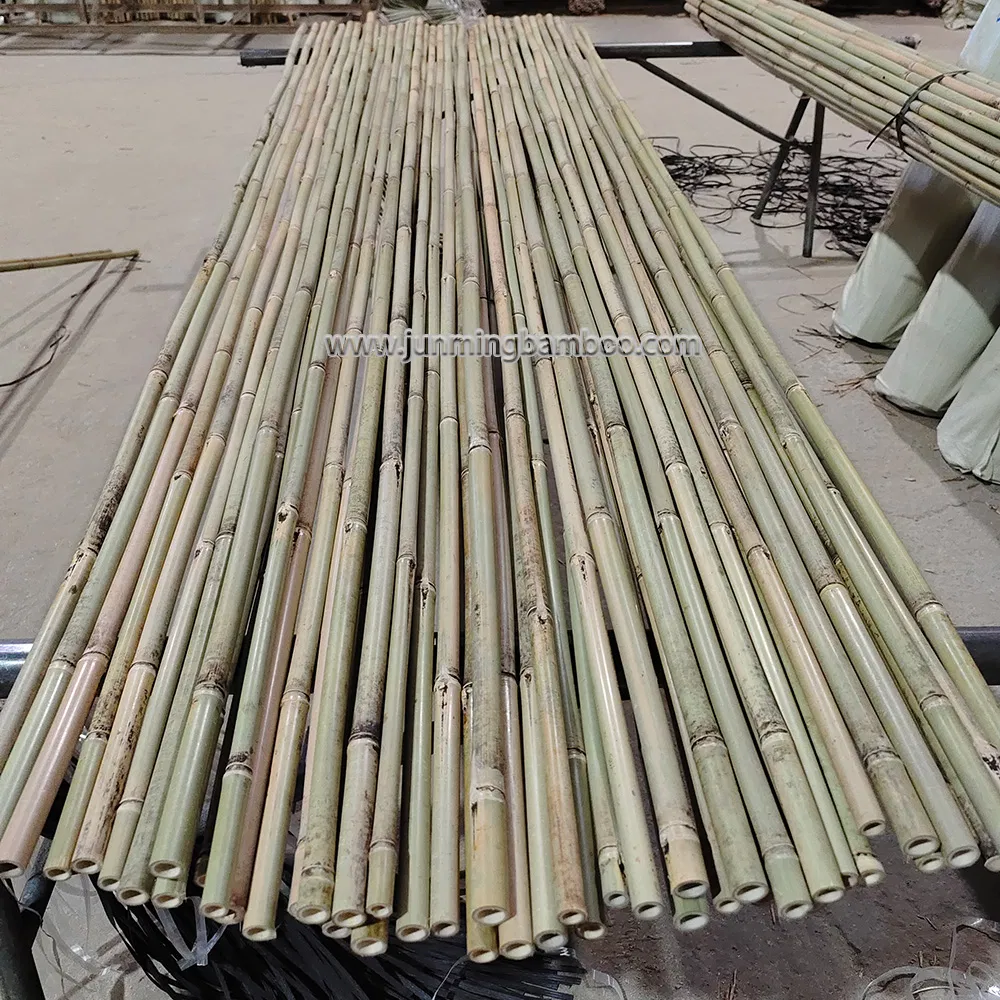 Tonkin Bamboo Cane Garden Stake Tsinglee Nature Raw Bamboo Poles Cheap Price Dia. 22/24mm X 300cm