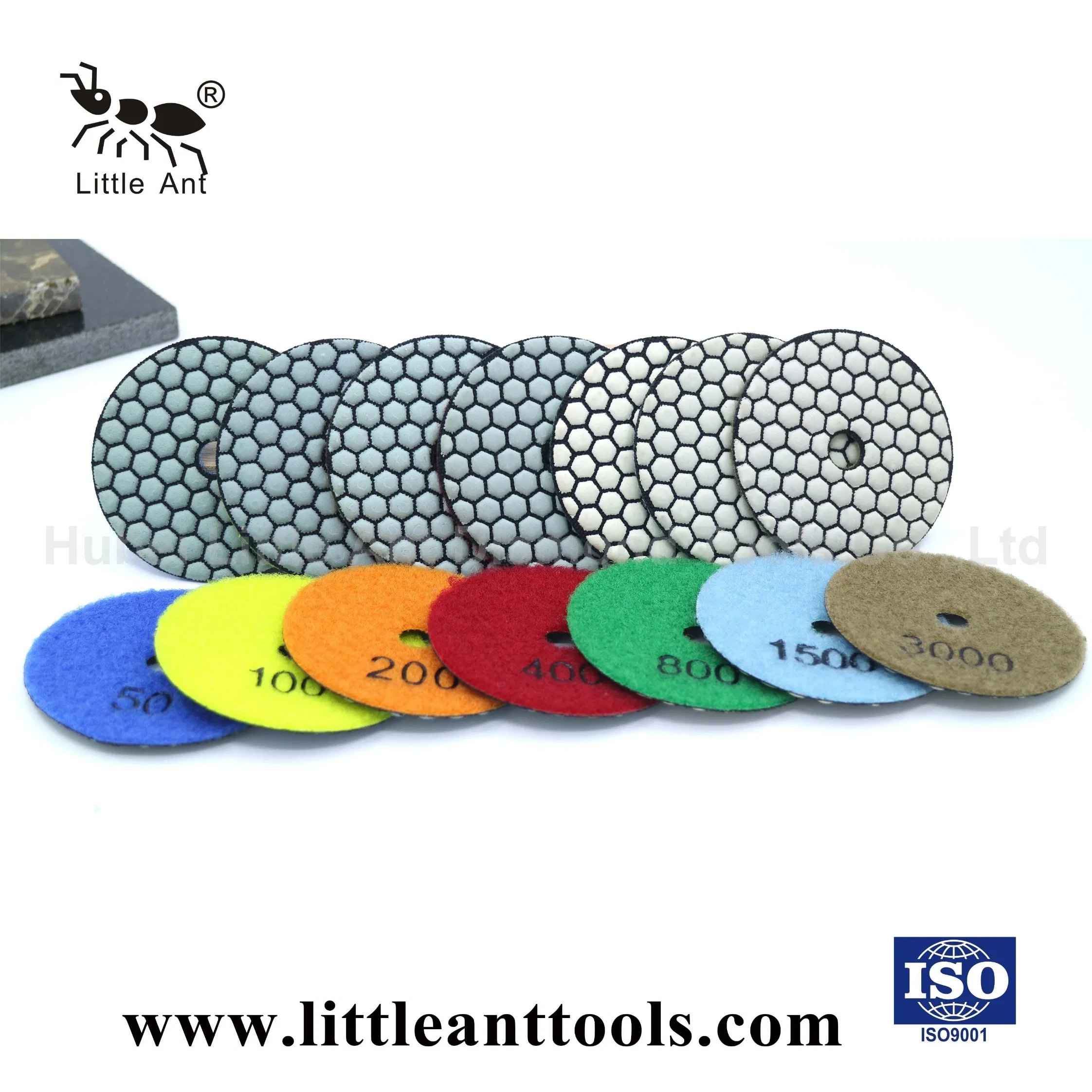 Diamond Tool of Dry Polishing Pads