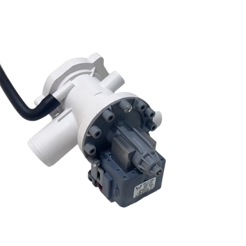 CE 3 Years Ruijp Mini Washing Machine Solenoid Valve Hot Sale