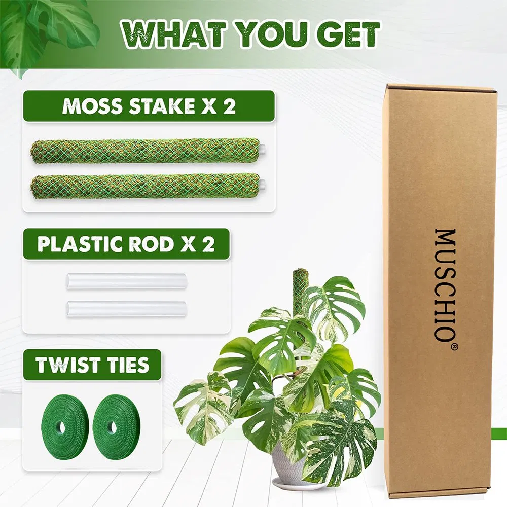 Aerial Root-Friendly Breathable Green Plastic Grid Moss Pole for Philodendron Vertical Growth Monstera Deliciosa