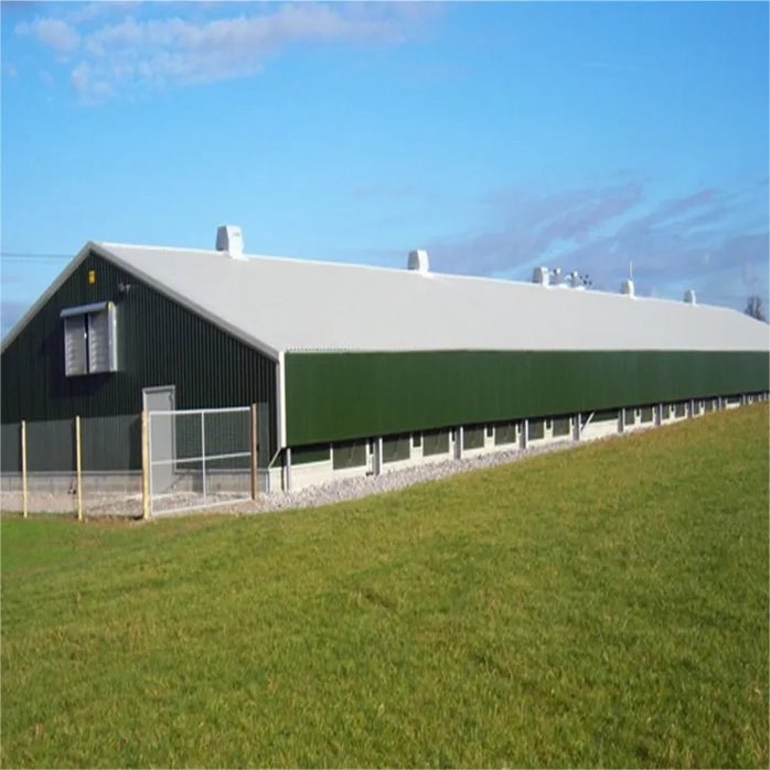 Premium Chicken House with Complete Poultry Equipment Set for Sale