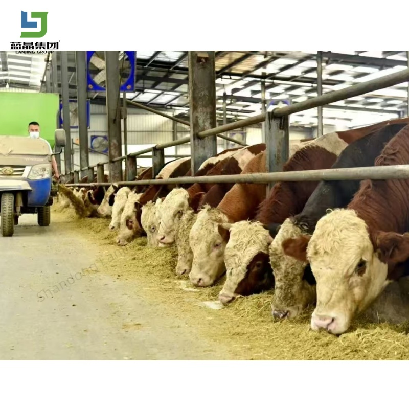 Simple Rapid Installation Prefab Green Multi-Use Customized Light Structural Steel Structure Building Workshop Warehouse Storage Warehouse Shed