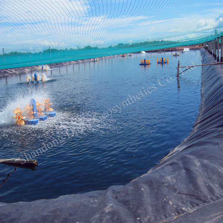 Pond Liner Smooth Surface Mining Landfill 2mm 1.5mm 1mm HDPE Liner Geo Membrane for Swimming Pools Dam Fish Pond Waterproof Geomembrane