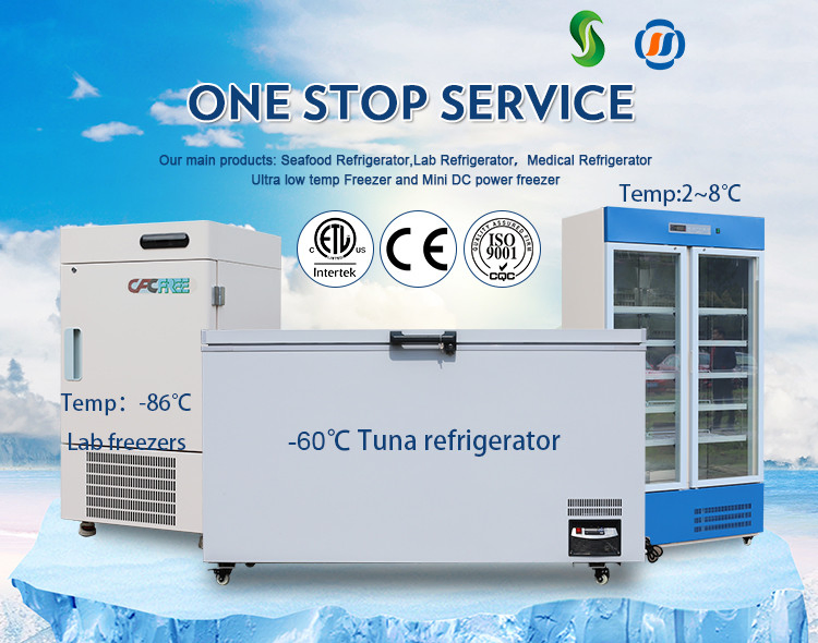 Large Capacity Low Temperature Fish Meat Frozen Report Fresh-Keeping Deep Freezer